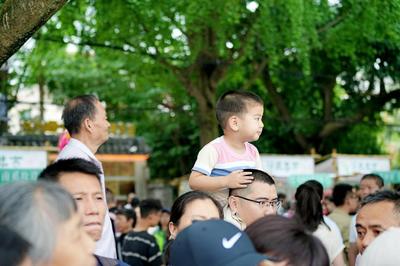 龍舟競渡千年韻 世運(yùn)相約蓉城情——2025四川省“百舟競渡迎端午”集中展演暨新津天府端午龍舟會(huì)文化活動(dòng)策劃